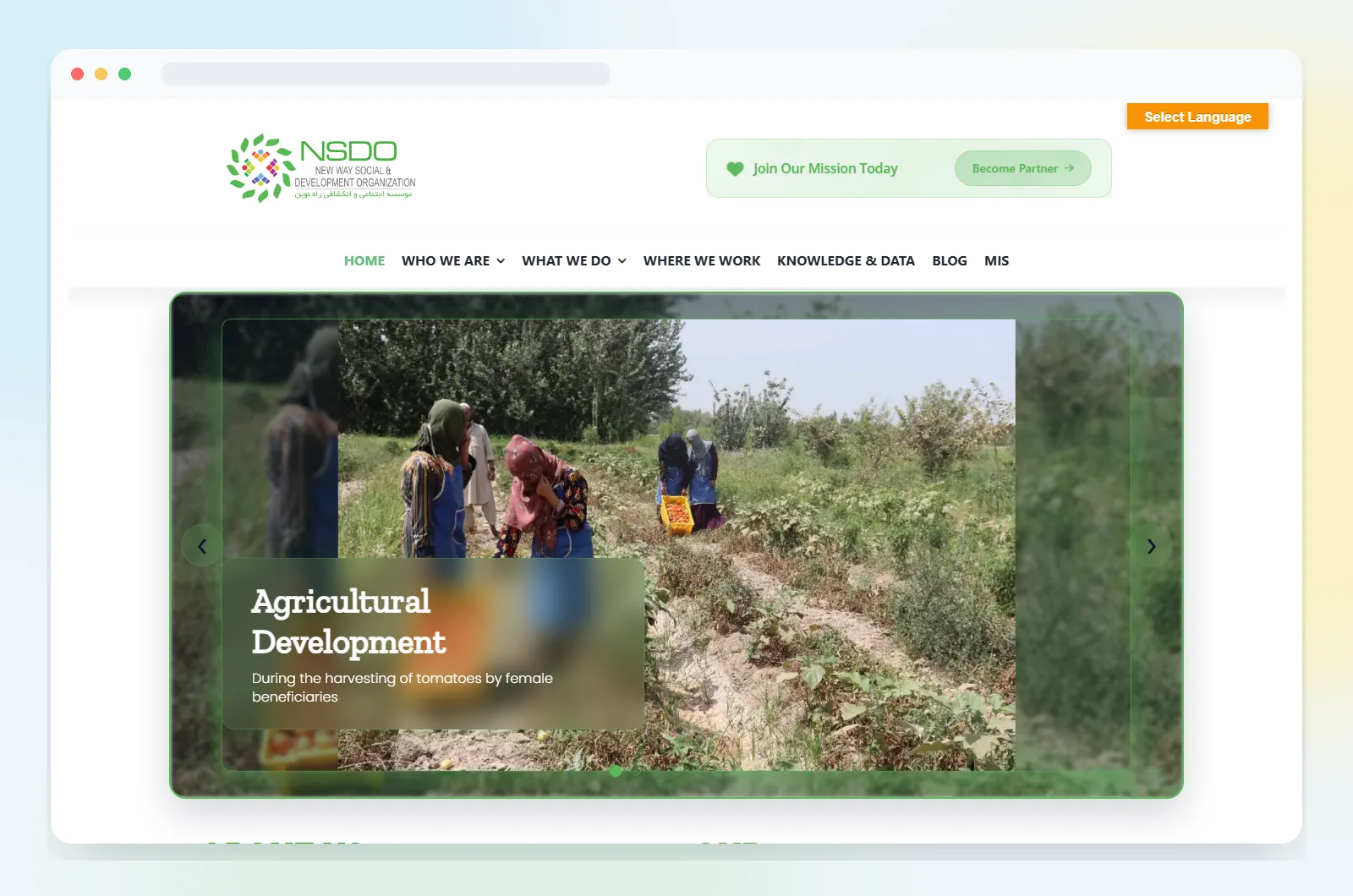 New Way Social & Development Organization Website